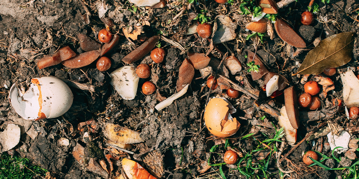 How much organic waste do we produce in a year?